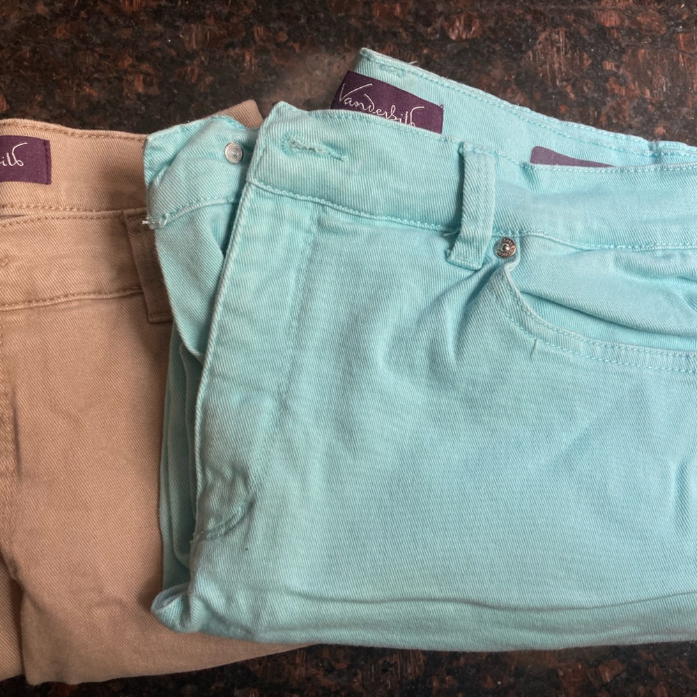 Two pair of Gloria Vanderbilt Amanda straight legged PETITE - BOTH TOGETHER